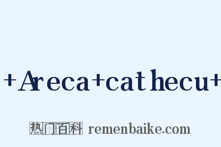  Areca cathecu 是什么意思的图片